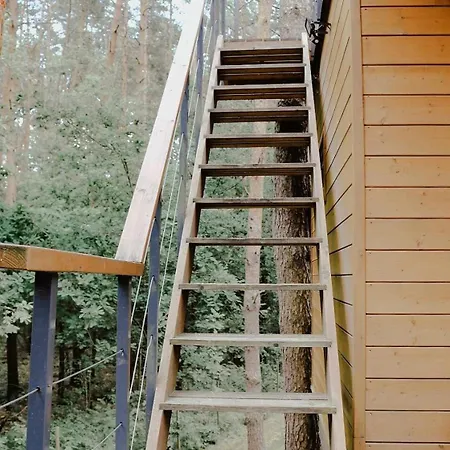 Na Drzewie Radziejowice Blisko Suntago *