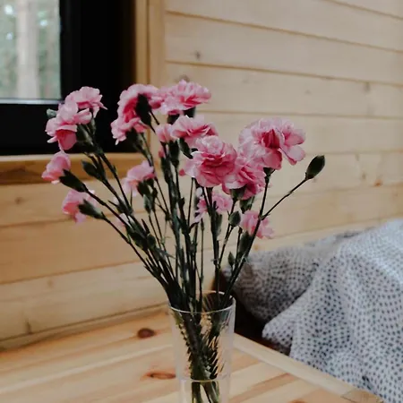 Na Drzewie Radziejowice Blisko Suntago Budy Mszczonowskie