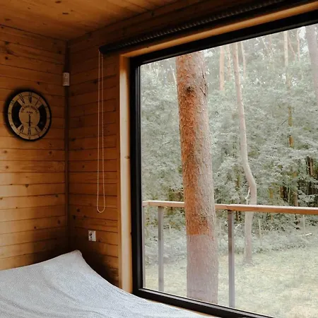 Na Drzewie Radziejowice Blisko Suntago