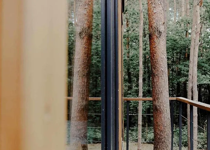 Na Drzewie Radziejowice Blisko Suntago