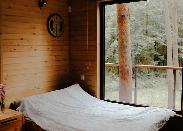 Dom wakacyjny Na Drzewie Radziejowice Blisko Suntago