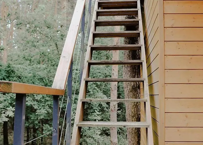 Na Drzewie Radziejowice Blisko Suntago *