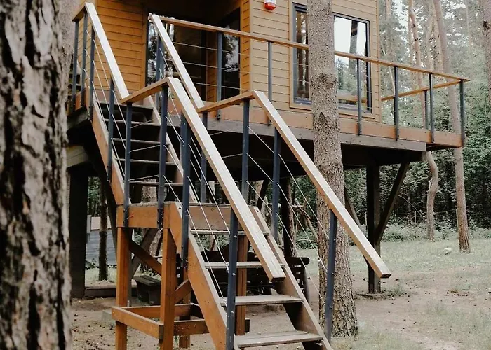 Na Drzewie Radziejowice Blisko Suntago Budy Mszczonowskie