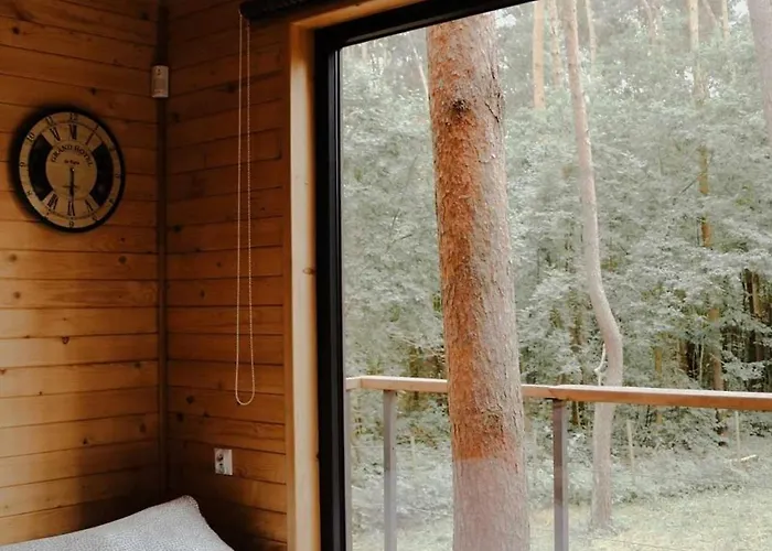 Na Drzewie Radziejowice Blisko Suntago